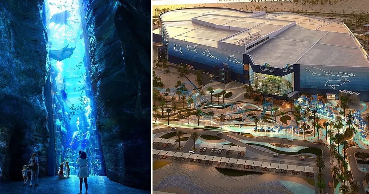 SeaWorld® Yas Island, Abu Dhabi - Image 2