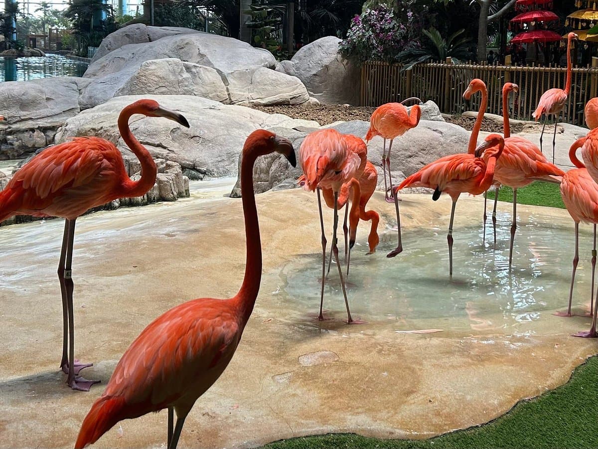 SeaWorld® Yas Island + Qasr Al Watan – Combo - Image 6