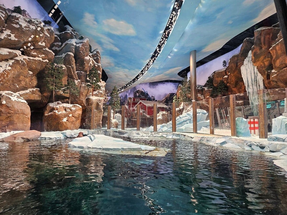 SeaWorld® + Louvre Abu Dhabi – Combo - Image 5