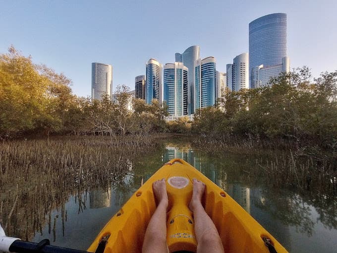 Guided Kayak Tour in the Reem Central Park Mangroves - Image 9