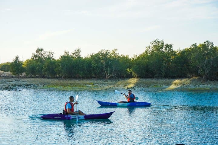 Guided Kayak Tour in the Reem Central Park Mangroves - Image 7