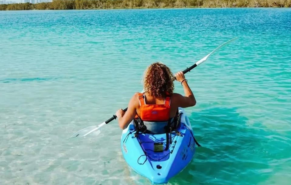 Guided Kayak Tour in the Reem Central Park Mangroves - Image 1