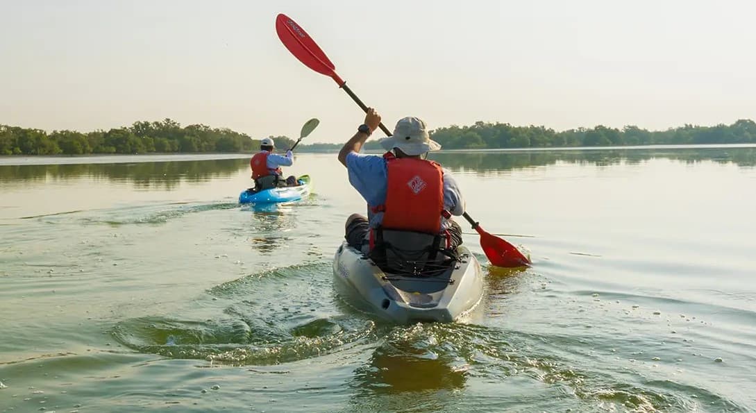 Guided Kayak Tour in the Reem Central Park Mangroves - Image 2
