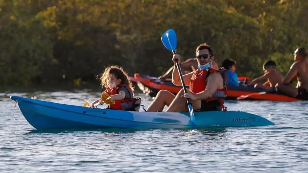 Guided Kayak Tour in the Reem Central Park Mangroves - Image 6